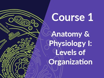 WHAT IS ANATOMY AND PHYSIOLOGY COURSE visual data 5
